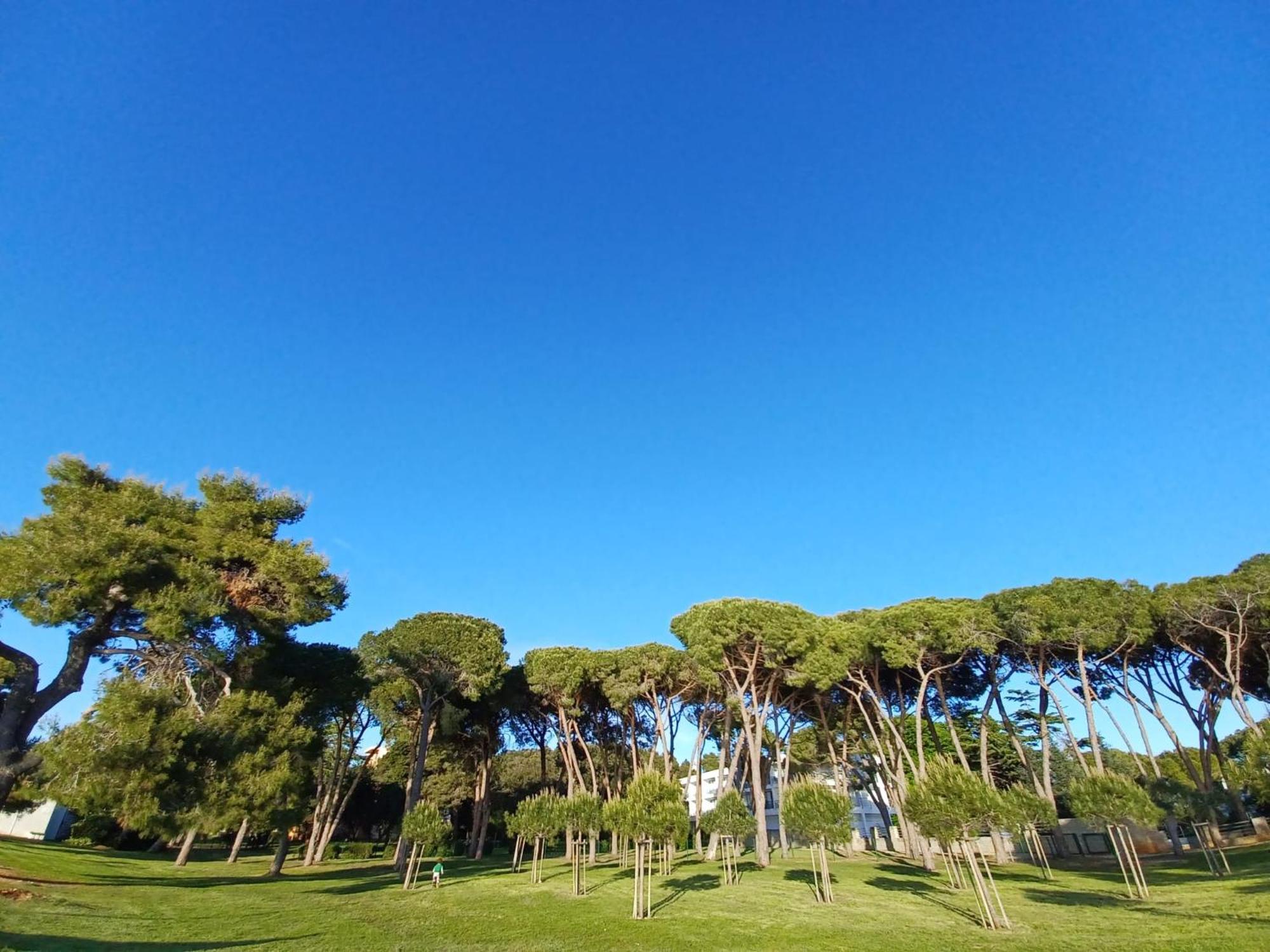 Family Apartments Zadar - Ryanair Exclusive Экстерьер фото