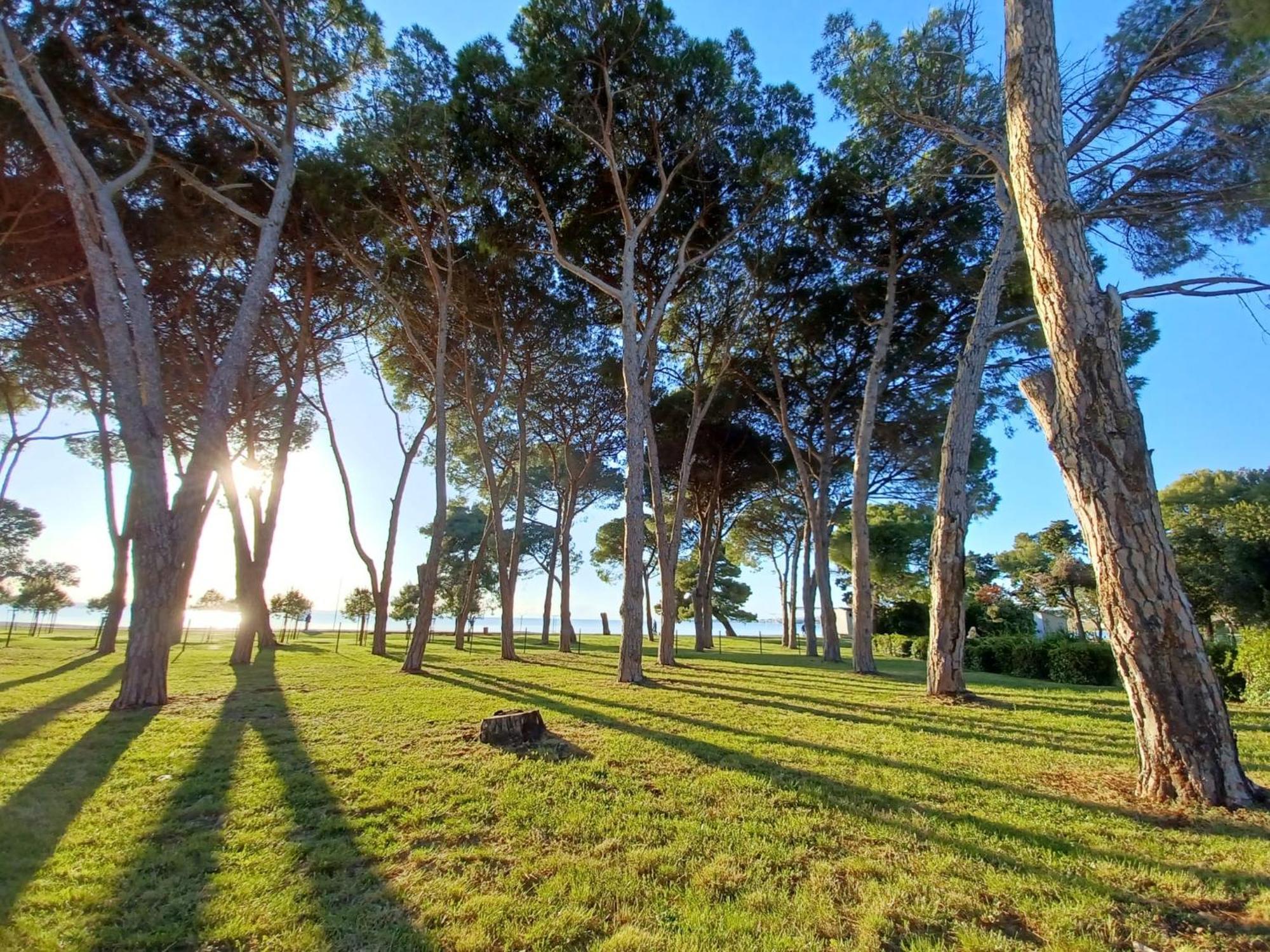 Family Apartments Zadar - Ryanair Exclusive Экстерьер фото